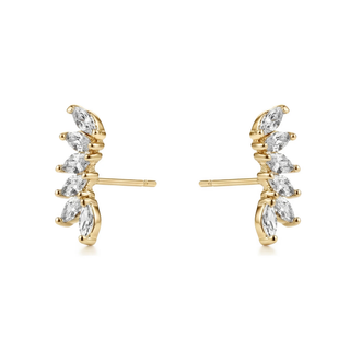 Crystal Ear Crawler
