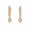 Single Drop Earrings